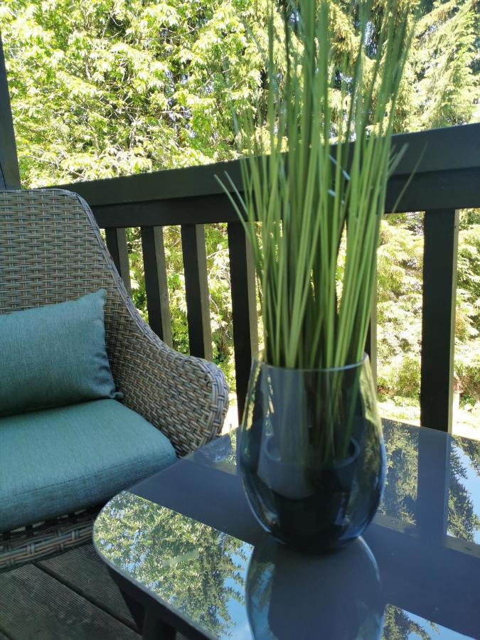 Country-Suites By Verdino Living - Apartments & Suites (Adults Only) Braunlage Esterno foto